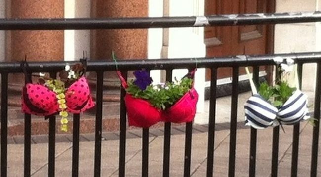 Upcycled Bra Cup Planters