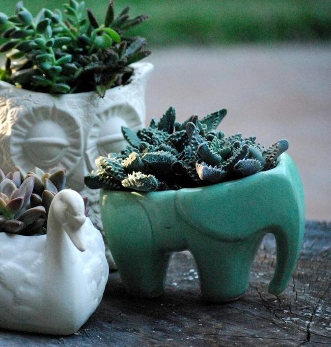 Green-Backed Elephant Planter
