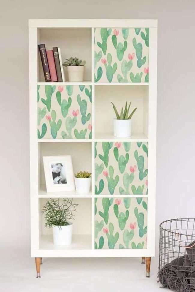 Green Cacti Space With Legs
