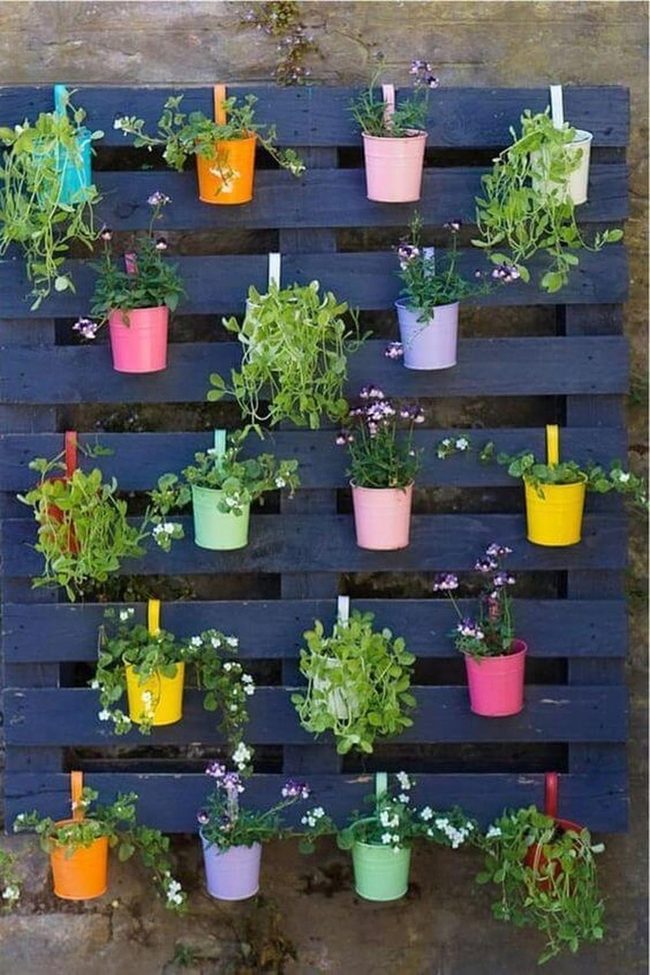 Cascading Herbs Against Weathered Wood