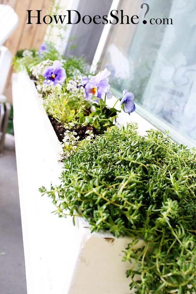 Blooming Window Boxes, Instant Curb Appeal