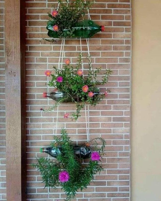 Blooming Bottles On Brick