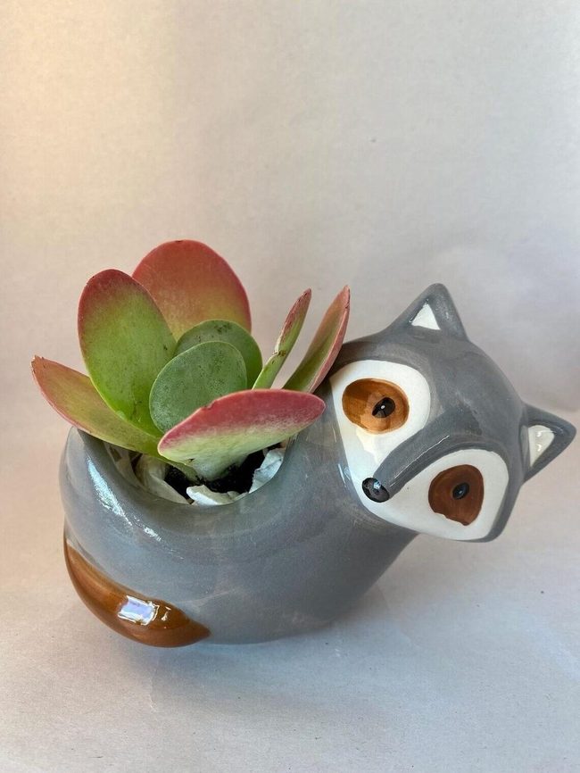 Gray Raccoon Ceramic Planter
