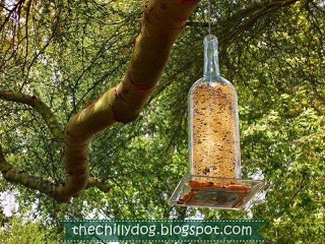 Crystal Bird Sanctuary Glass