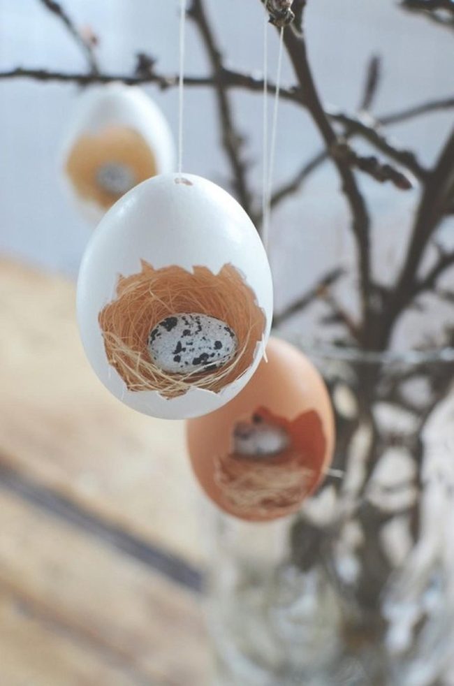 Eggshell Nests On Bare Branches