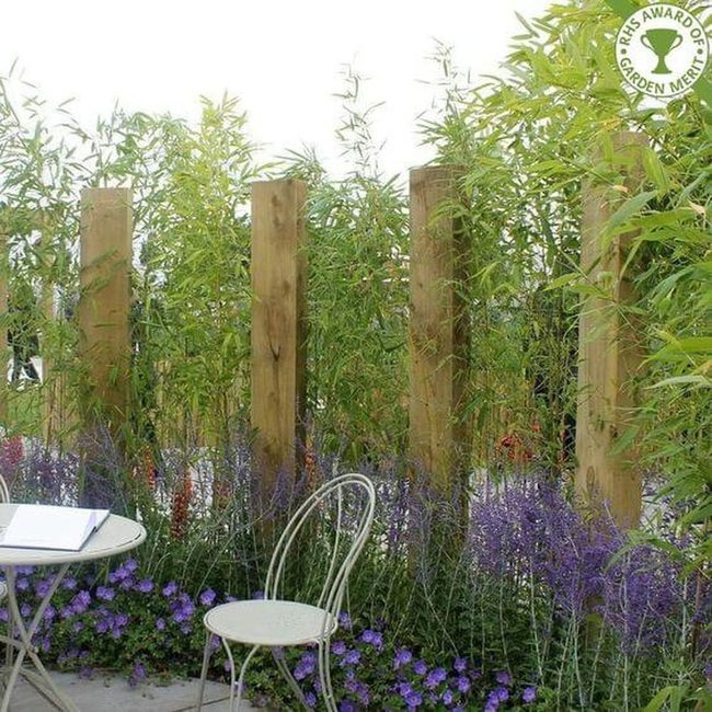 Green Bamboo Privacy Garden