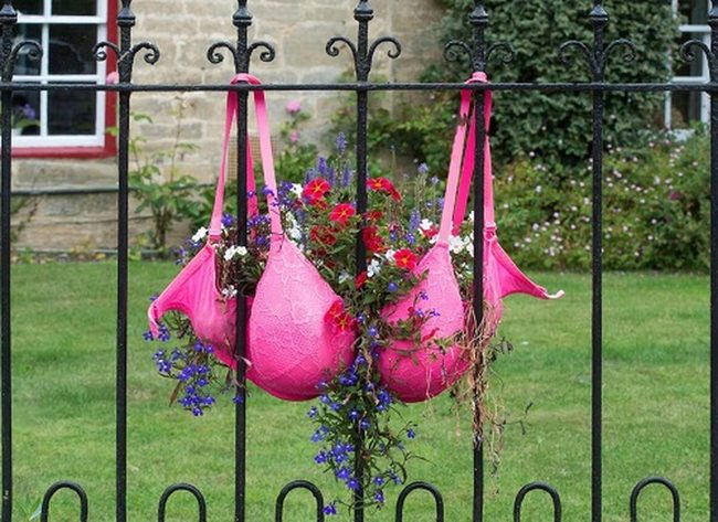 Pink And Blue Bra Planters