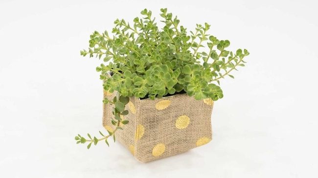 Yellow Dotted Burlap Greenery