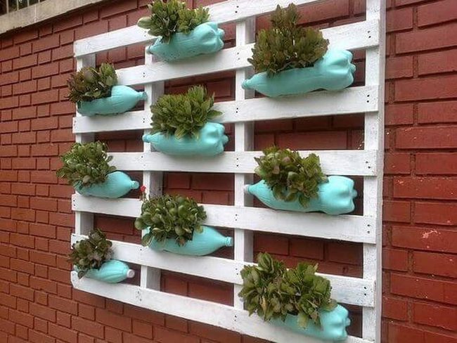 Turquoise Hands, Red Walls, Succulents