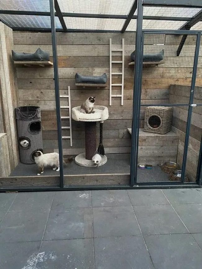 Wooden Cat Shelters In Green