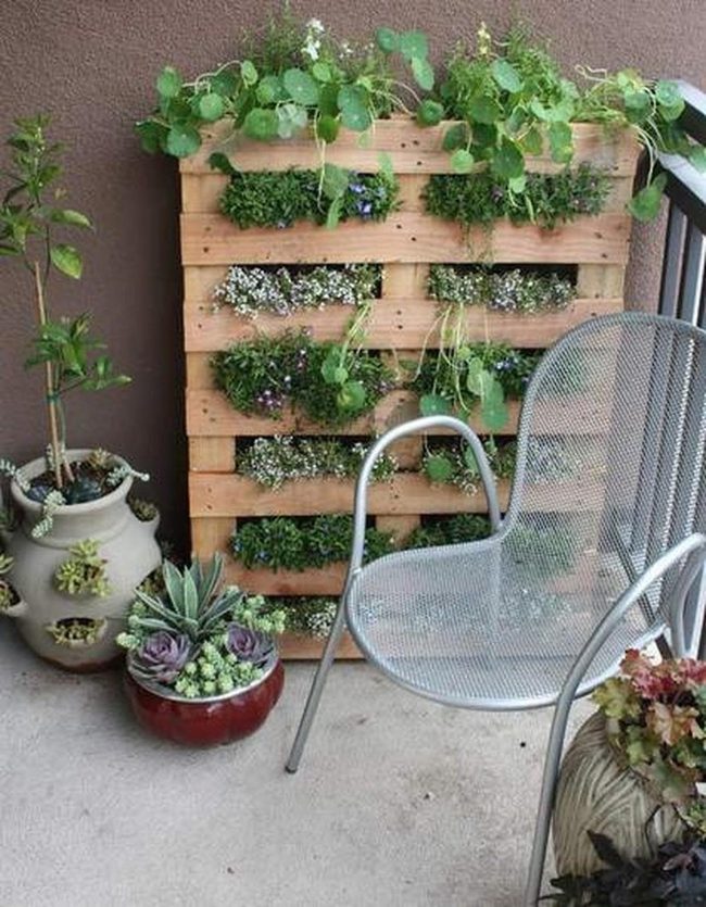 Green Vertical Garden Walls