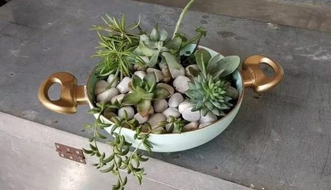 Metal Pans, Living Succulents