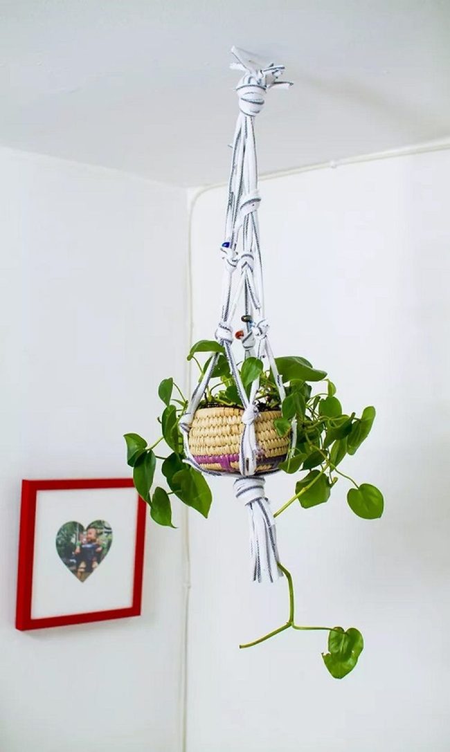 Knotted Rope Plant Sanctuaries