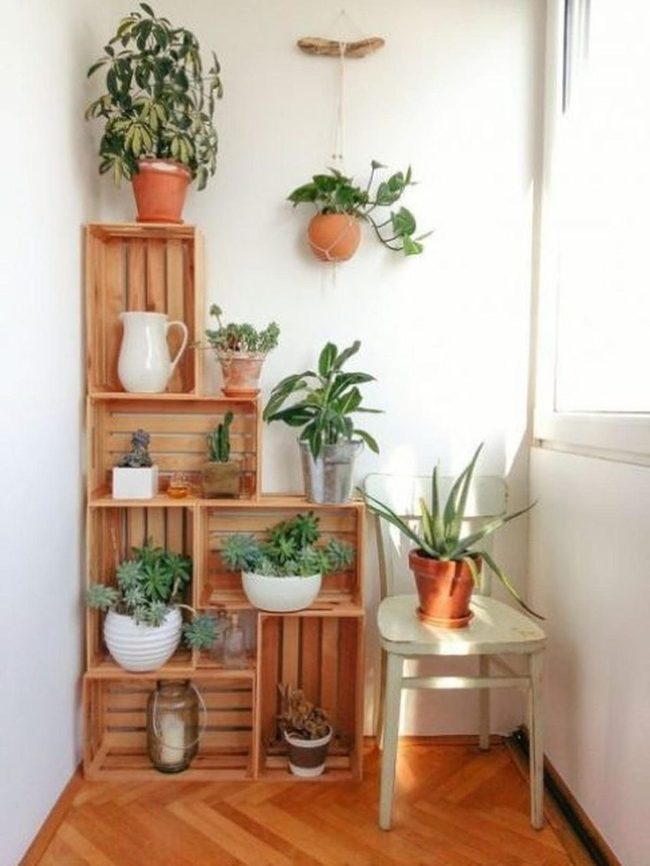 Green Plants And Wooden Crates Corner