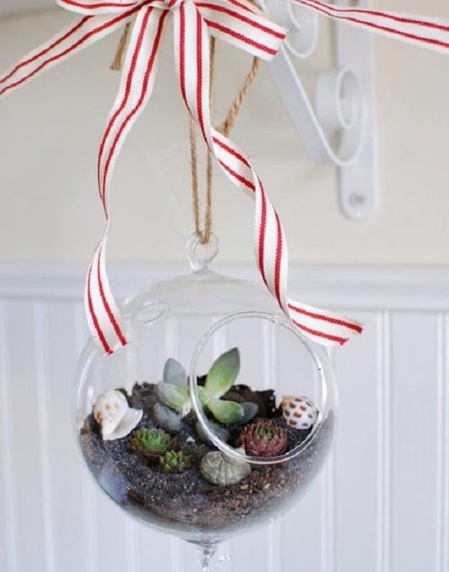 Floating Glass Terrariums