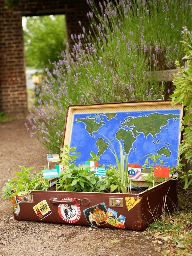 Weathered Suitcases, Blooming Flowers