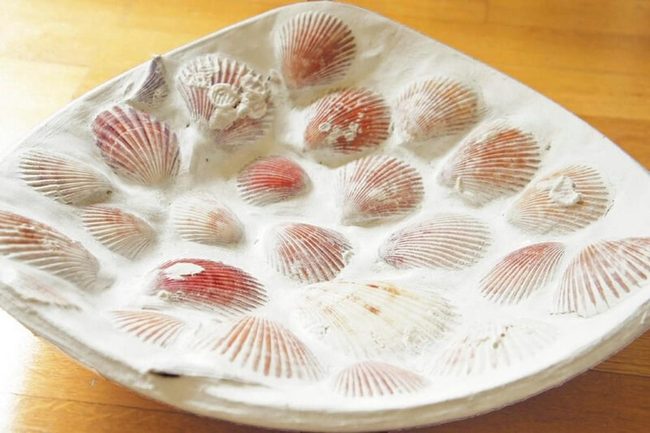 Scallop Shell Bowl Shimmer