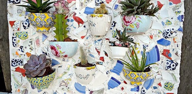 Ceramic Cups With Succulents And Cacti