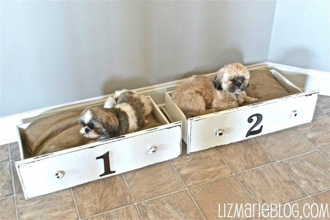 Numbered Drawer Dog Beds White