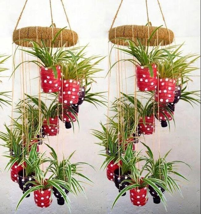 Red Striped Planters With Polka Dots