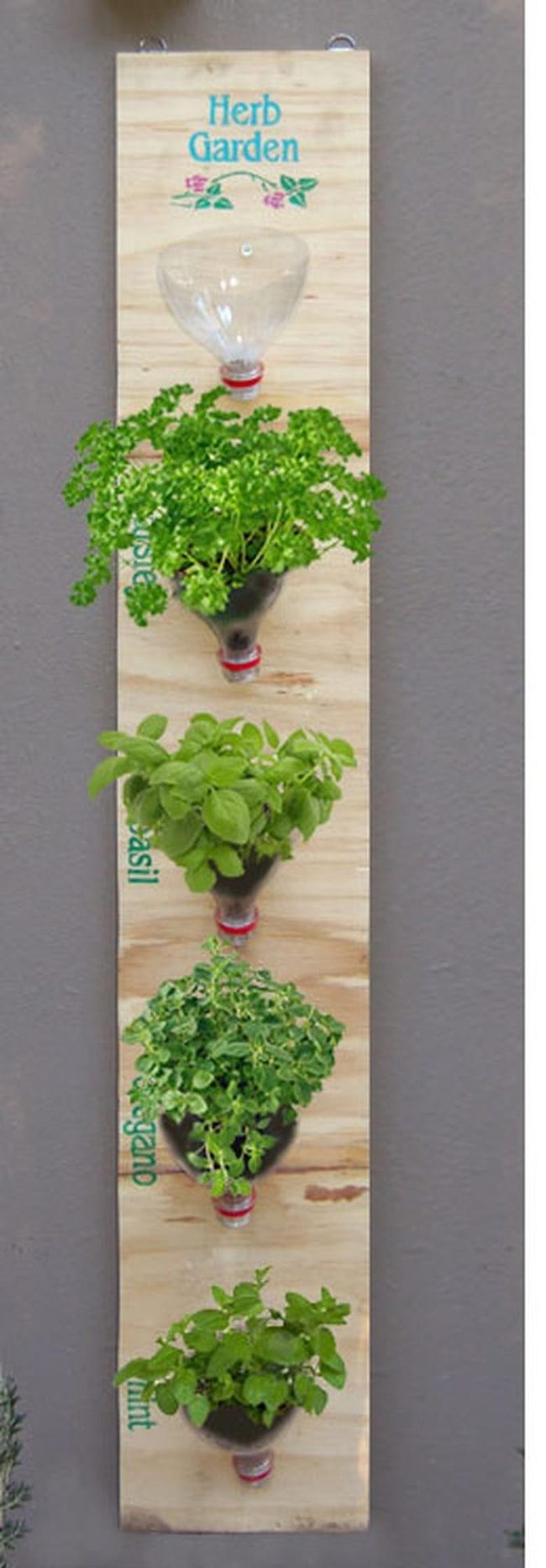 Fresh Green Bottle Herbs
