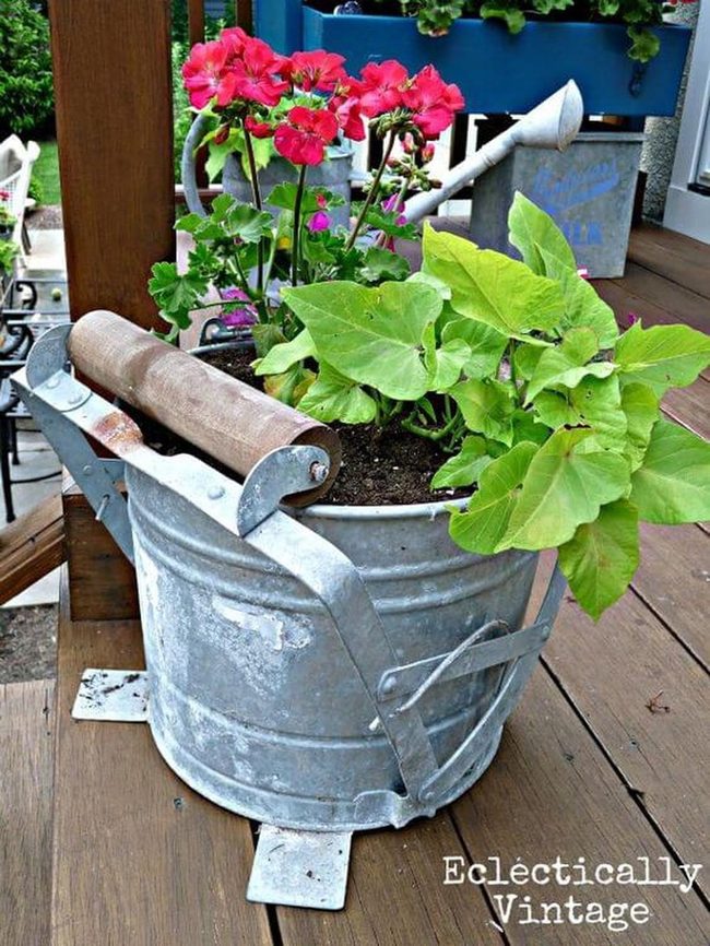 Weathered Buckets, Crimson Blooms