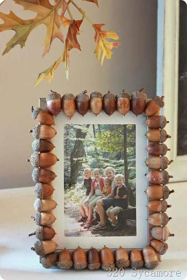 Acorn-Rimmed Photo Frame