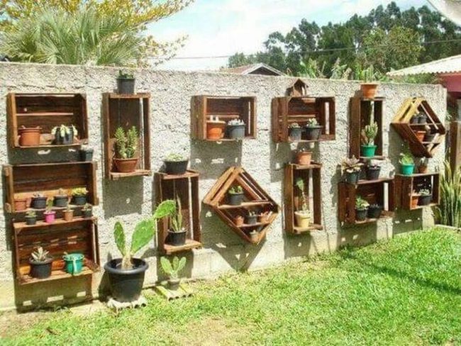 Stacked Crates, Climbing Greens