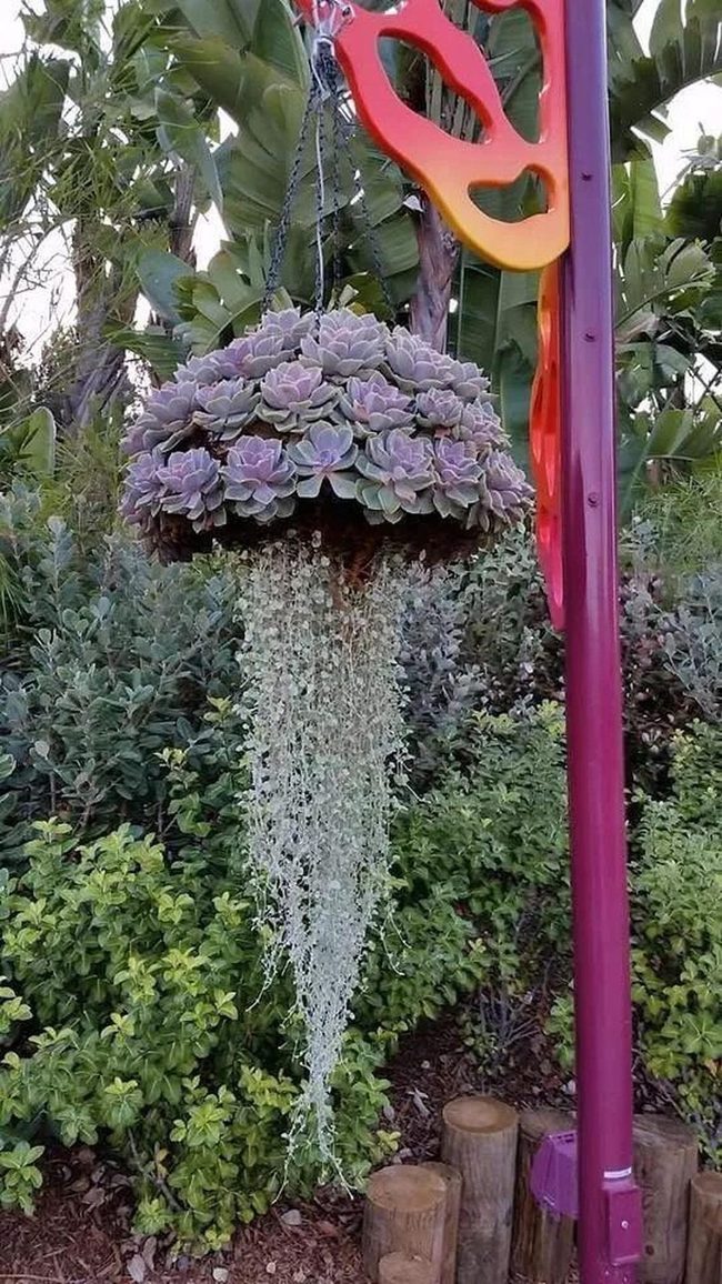 Purple Succulent Waterfall Sphere