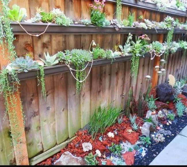 Stacked Succulents On Wood Fence