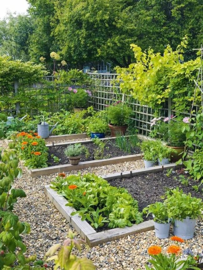 Raised Beds, Colorful Blooms