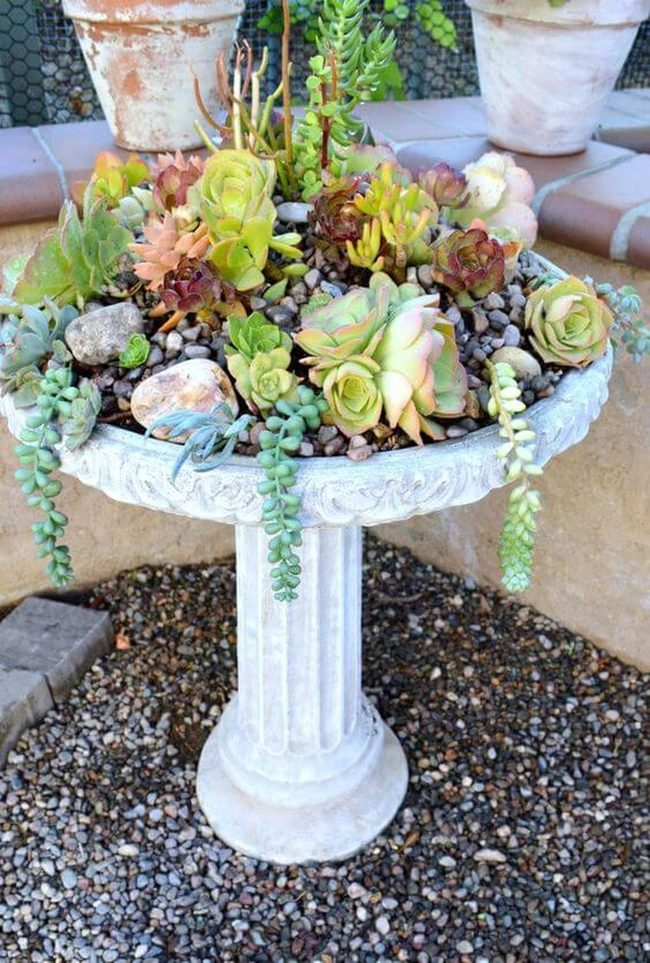 Birdbath Succulent Garden
