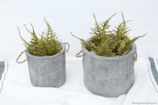 Gray Ceramic Planters With Green Foliage