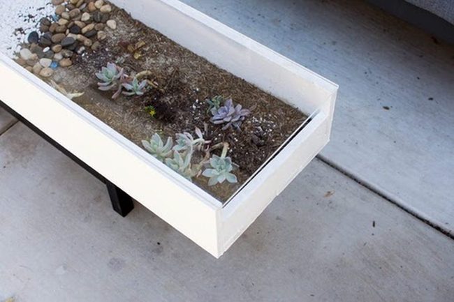 Succulent Coffee Table Glass Wood