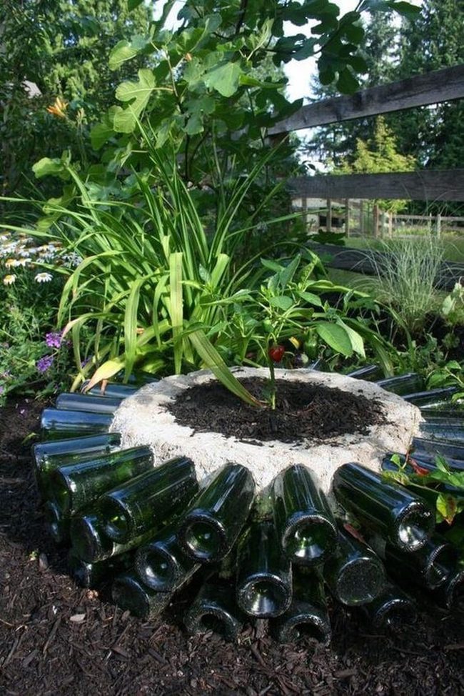 Colorful Glass Bottle Garden