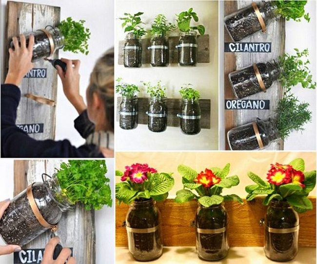 Glass Jar Herb Gardens