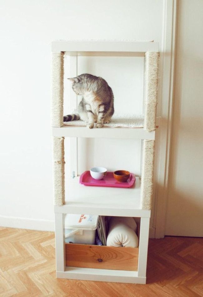 Gray Tabby'S Wooden Vertical Retreat
