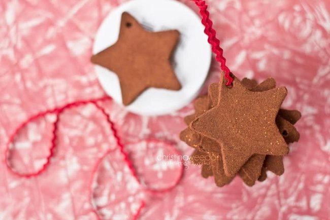 Brown Star Cookies Pink Backdrop