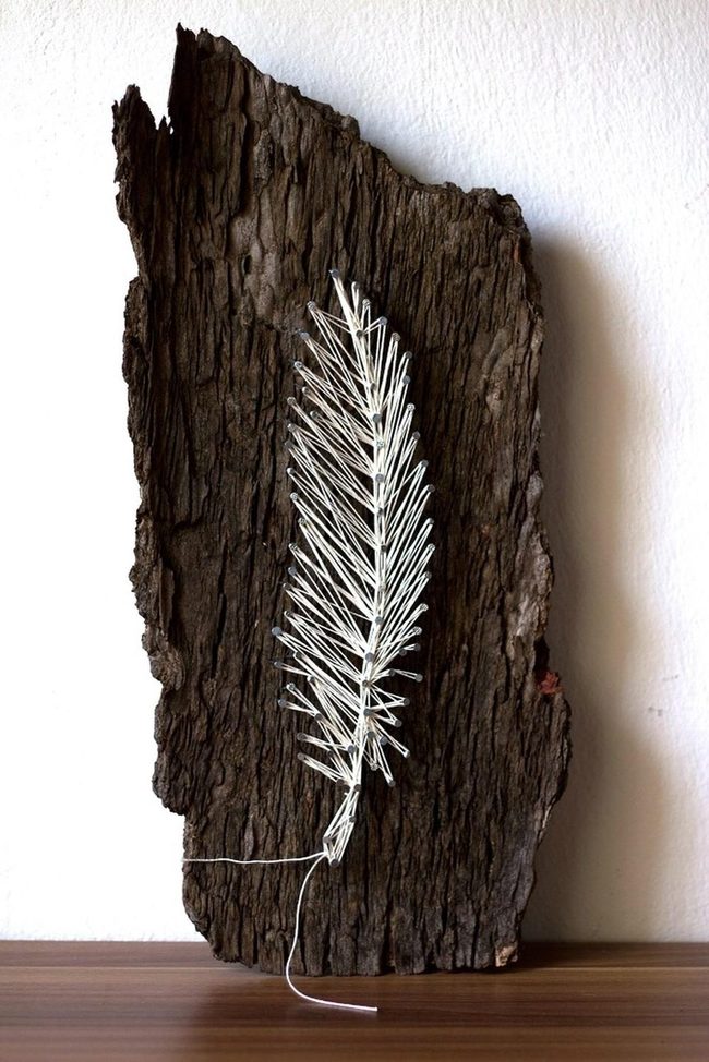 White Thread On Dark Bark