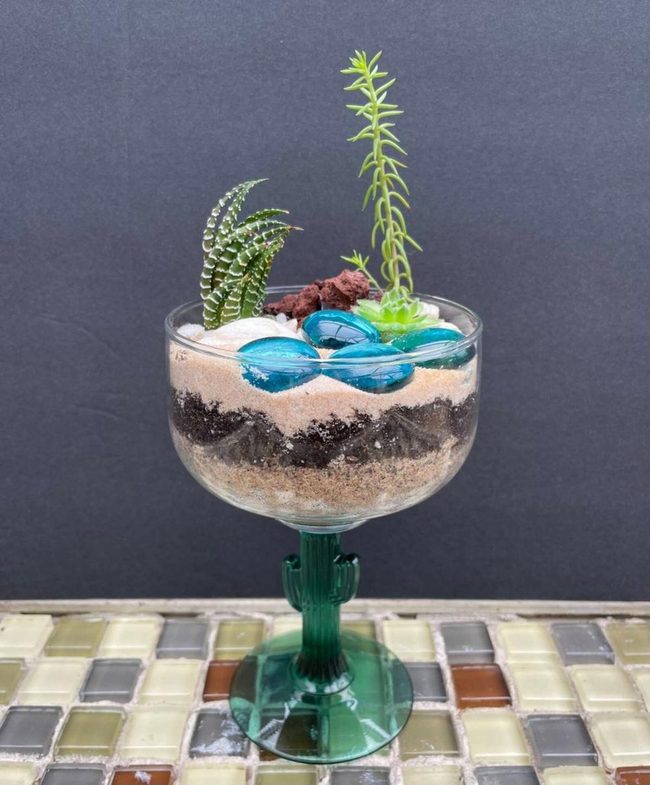 Miniature Cacti And Stone Garden
