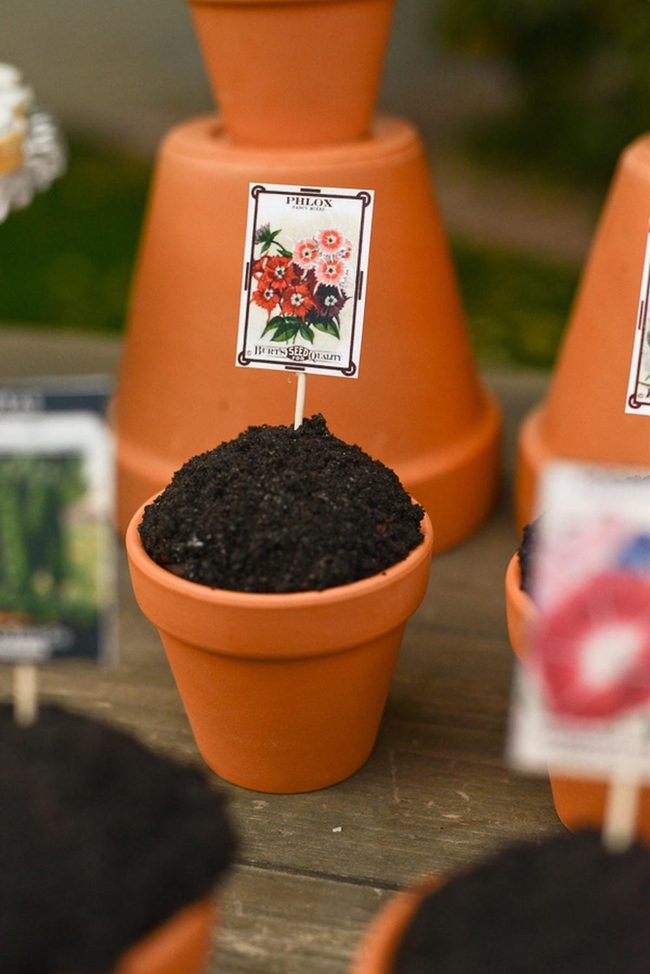 Terracotta Pots, Seeds Ready