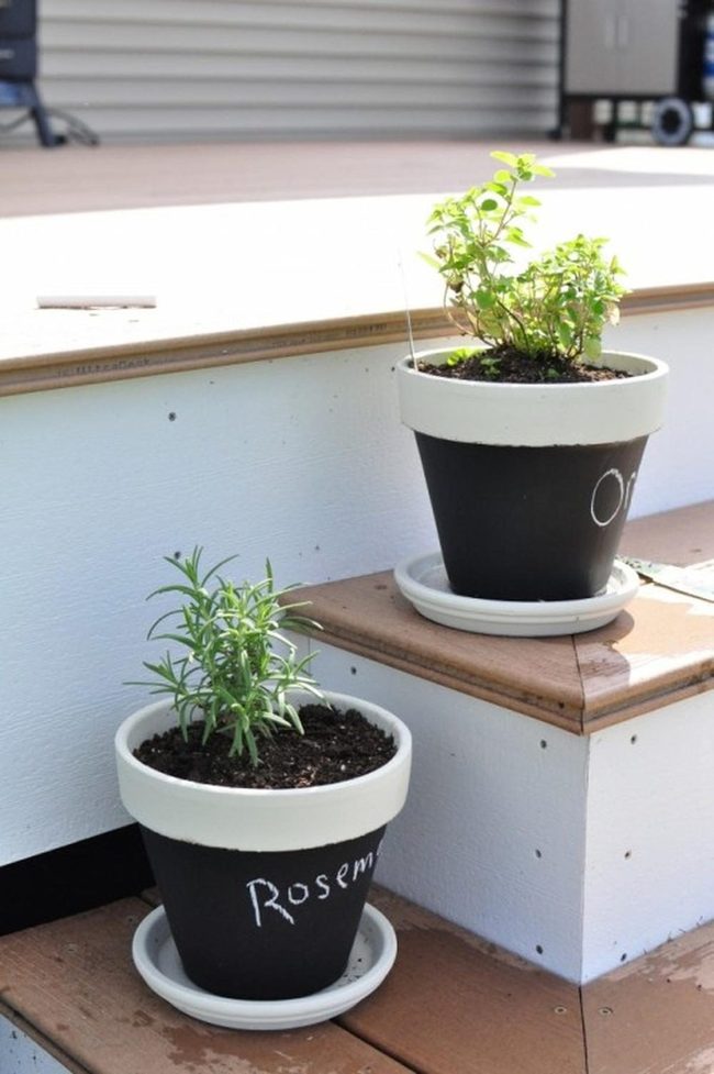 Fresh Herbs In Black-Rimmed Ceramic
