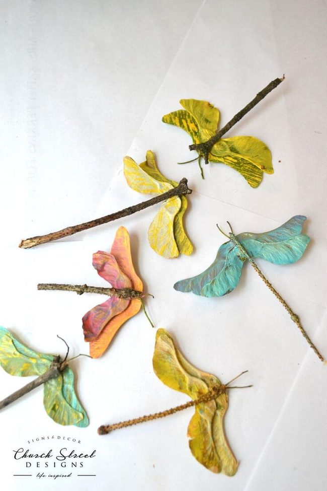 Painted Maple Seed Dragonflies