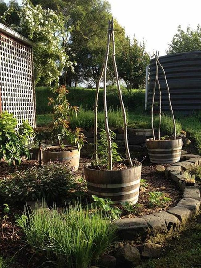 Weathered Wine Barrel Planters