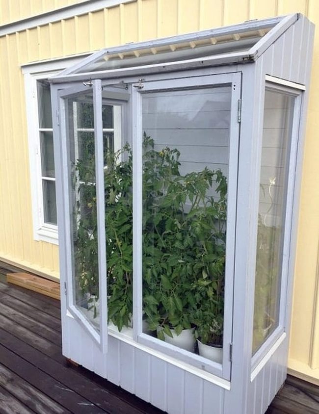 Sunlit Glass Plant Cabinet
