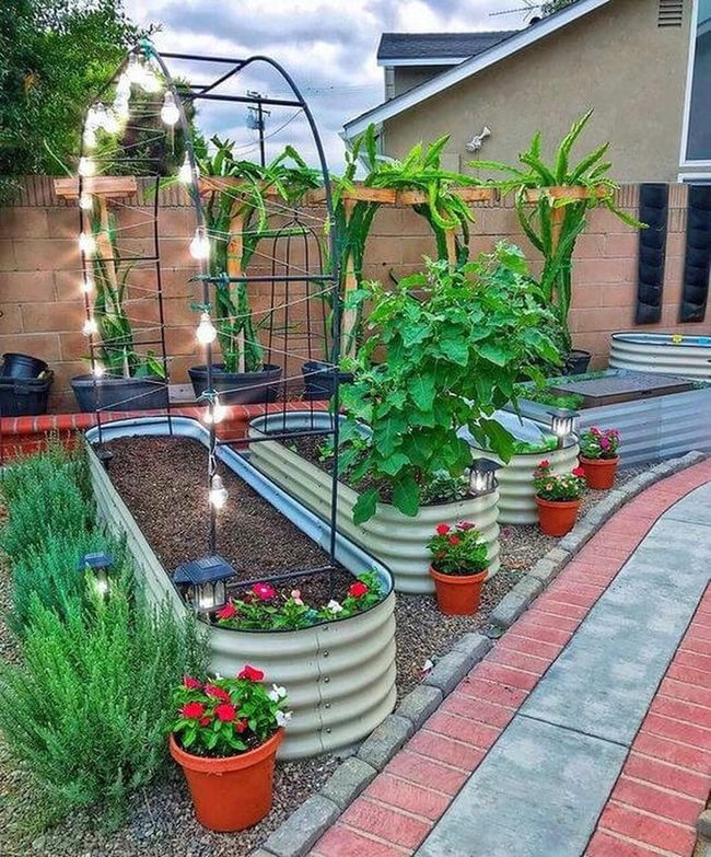 Illuminated Vegetable Beds