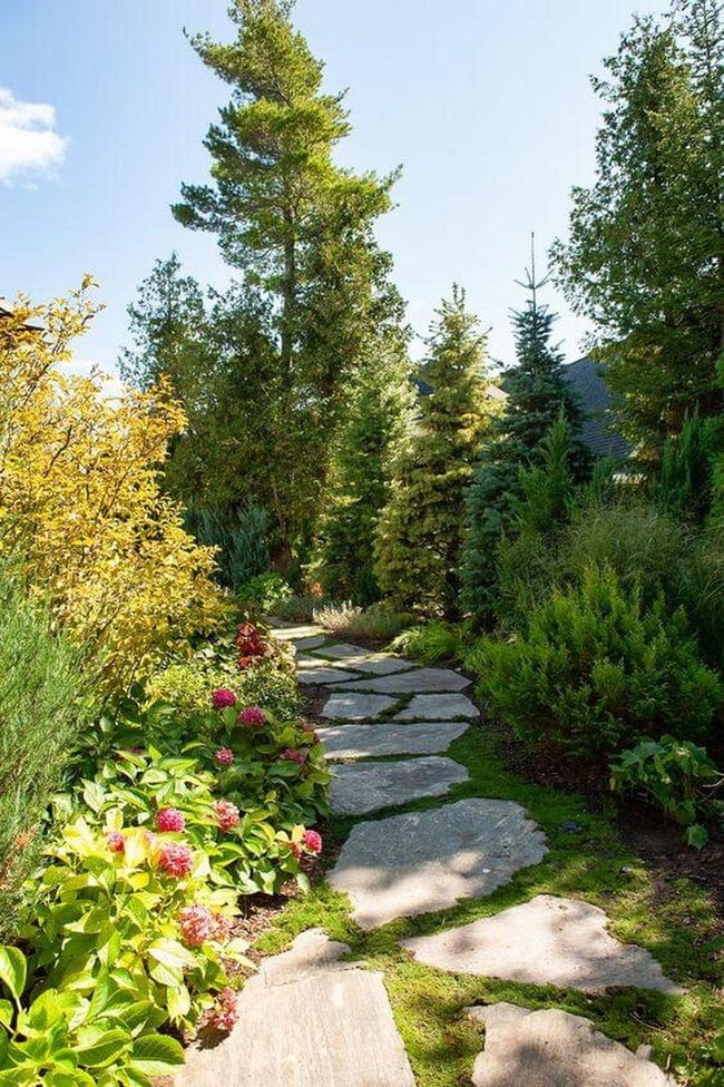 Stone Path Through Green
