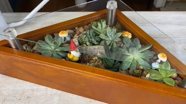 Glass Succulent Worlds