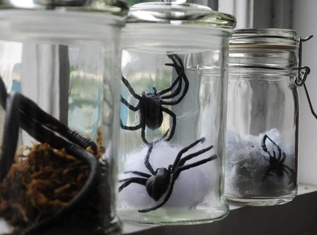 Black Spiders In Glass Jars