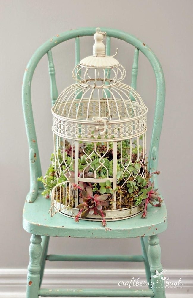 Ornate Birdcage Plant Displays